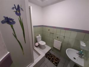 SnyatynЛагуна的浴室设有卫生间、水槽和花瓶。
