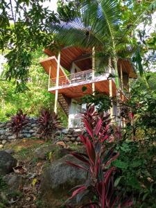 乌维塔Casitas Del Rio Riverfront Jungle Beach Vacation的森林中的房子