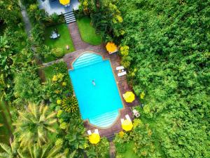 Vunaniu斐济威尔斯利度假酒店的花园游泳池的顶部景色