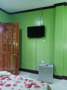 锡基霍尔Stella'z guesthouse的一间卧室设有一张床,绿色的墙壁上设有一台电视机