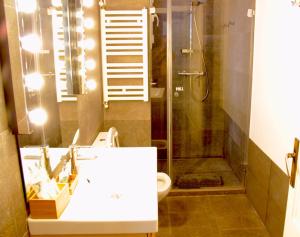 巴塞罗那Mr. Serrano Apartments的带淋浴、盥洗盆和卫生间的浴室