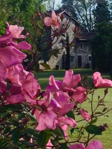 San Giovanni al Natisone博瑞迪卡瓦迪普乡村民宿的一座房子前面的粉红色花丛