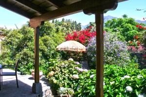 埃尔帕索El Morro的花园种有鲜花,配有遮阳伞和椅子