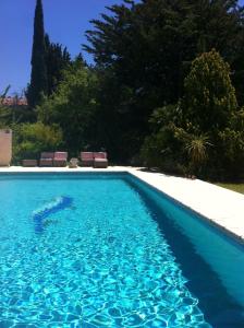 迈兹Saint Paul le Marseillais Gites的庭院里的一个蓝色海水游泳池