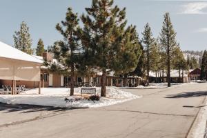 大熊湖最佳湖边酒店的一条有树木和雪地长凳的街道