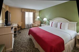尚蒂伊尚蒂伊杜勒斯世博机场假日酒店的酒店客房设有一张大床和一台电视。