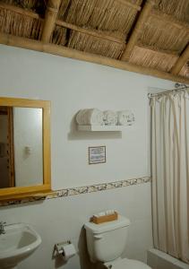 阿扬格慕裕由旅舍的一间带卫生间、水槽和镜子的浴室