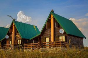 扎布利亚克Mountain Vista Chalet的一座带绿色屋顶的大型木制房屋