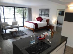 墨西哥城阿尔莫尼套房酒店的酒店客房设有一张床和一个带柜台的厨房