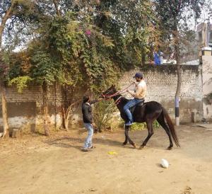 阿格拉Nature Resort的骑着马的男人在男孩旁边