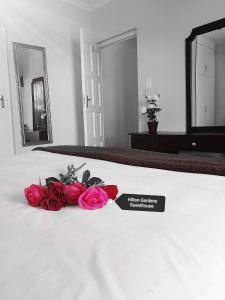 理查兹湾Hilton Gardens Guesthouse的坐在床上的一束玫瑰