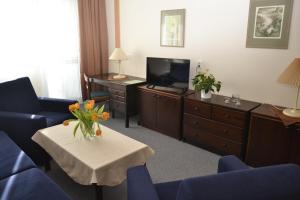 布拉格伏尔加酒店的带沙发、电视和桌子的客厅