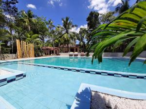 DemanhandiyaJackland Holiday Cabanas的一座拥有蓝色海水和棕榈树的大型游泳池