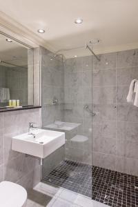 戈尔韦维多利亚酒店的一间带水槽和淋浴的浴室