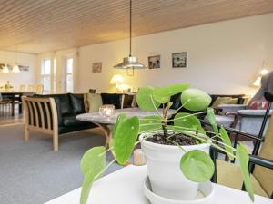 海尔斯6 person holiday home in Hals的坐在客厅桌子上的盆栽植物