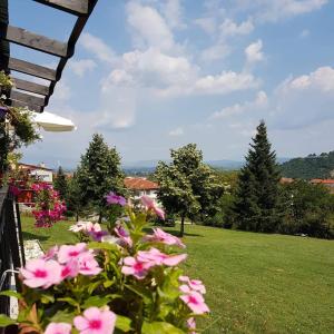 弗洛里纳亚历山大之王酒店的享有带粉红色花卉的庭院的景色