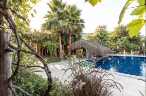戈西克Layla Gocek Adults only的一个带游泳池和棕榈树的度假村