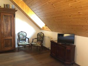 HartmaniceChata Rovina的客厅配有2把椅子和平面电视