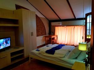 利沃夫Hotel Sun的一间卧室设有一张床、一台电视和一个窗口。