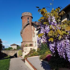 Trino波尔格拉梅兹艾纳乡间别墅的一座有紫色花的塔楼