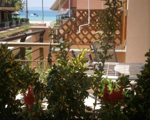 尼基季Dafni's Seaside Luxury Studios的阳台设有长凳,享有海滩美景。