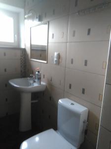 PrzybynówJurajska Bajka的浴室配有白色卫生间和盥洗盆。