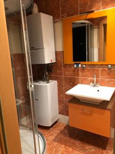 维也纳新城Nina Apartment的带淋浴、盥洗盆和镜子的浴室