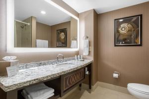普罗维登斯普罗维登斯欧姆尼酒店的一间带水槽、卫生间和镜子的浴室