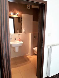 沃尔什滕Motel Orion Wolsztyn的一间带水槽、卫生间和镜子的浴室