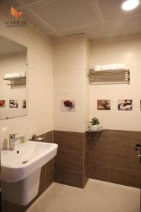 河内V House 5 Serviced Apartment的一间带水槽和淋浴的浴室