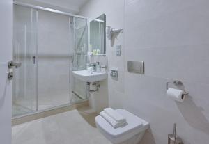 布拉格布拉格之星酒店的带淋浴、卫生间和盥洗盆的浴室