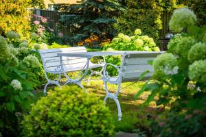 塔林城市中心花园露营地的坐在花园中间的白色长凳