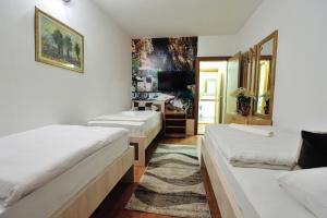 莫斯塔尔莫斯塔尔旅馆的酒店客房设有两张床和电视。