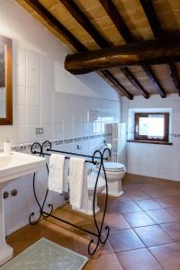 蒙特普齐亚诺Villa Chiccheio Rooms的一间带卫生间和水槽的浴室