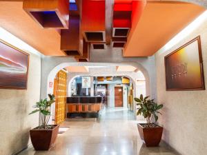 墨西哥城Hotel Antas的建筑里两棵盆栽的走廊