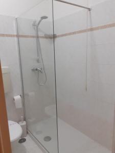 菲纳莱利古雷科利布瑞酒店的带淋浴和卫生间的浴室