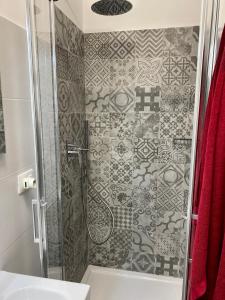 巴里Pisani Apartment的带淋浴的浴室和玻璃门
