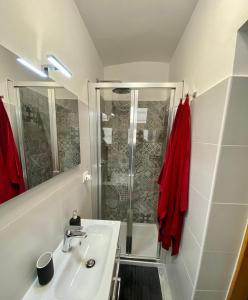 巴里Pisani Apartment的带淋浴和白色盥洗盆的浴室