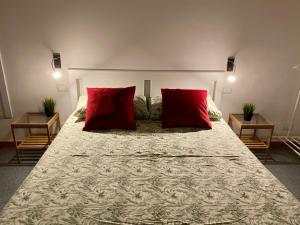 巴里Pisani Apartment的一间卧室配有一张大床和两个红色枕头