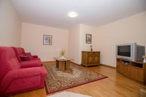 拉布Apartments Dionis的客厅配有红色沙发和电视