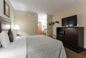 布兰森汇景套房酒店的配有一张床和一台平面电视的酒店客房