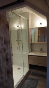 法韦热Chambres d'hôtes Olachat proche Annecy的一间带玻璃淋浴和水槽的浴室