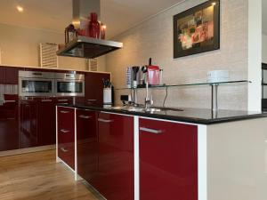 德科赫Texelheerlijk 4的一间厨房,配有红色橱柜和台面