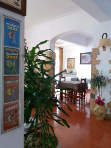 巴古尔Hostal Sa Barraca - Adults Only的一间带桌子和植物的客厅