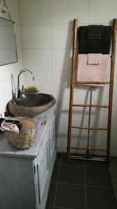 丽门Chalet peter的一间带水槽和木梯的浴室