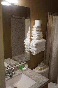 兰利向西旅馆及套房的浴室在厕所里备有毛巾