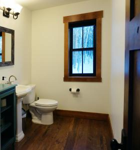 塔尔基特纳Silver Birch Vacation Rental的一间带卫生间和窗户的浴室