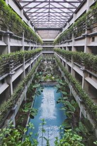 日惹普拉维塔玛格林霍斯特精品酒店的一座大型温室,里面栽满了水和植物