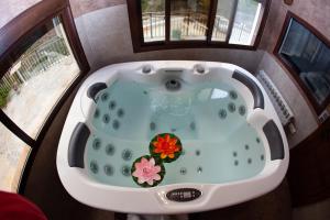 Laroya皮卡西奥乡村旅馆的享有带鲜花的浴缸的空中景致