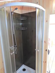 弗尔萨尔Drago Tours LODGE TENT, Valkanela的浴室里设有玻璃门淋浴